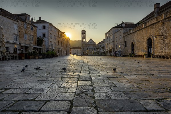 View of an empty cobbled street in the old town of Hvar at sunrise, some pigeons, Hvar town square, Hvar, Dalmatia, Croatia, Europe