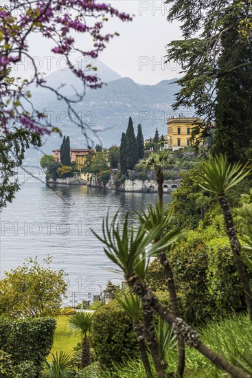 Park, spring, Villa Monastero, Varenna, Province of Lecco, Lombardy, Italy, Europe