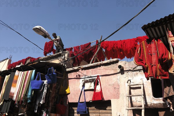 In the dyers' souk in Marrakech, Morocco, Africa