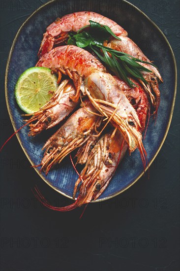 Langoustines, Australian, freshly frozen on ice, top view, lime and greens