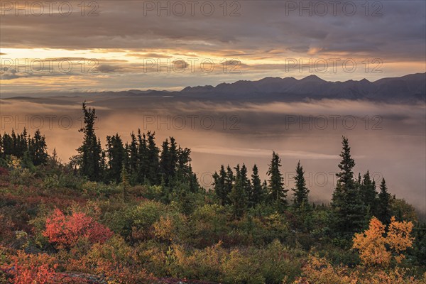 Morning light, cloudy mood, fog, autumnal tundra, autumn colours, wilderness, mountain landscape, Ogilvie Mountains, Dempster Highway, Yukon, Canada, North America