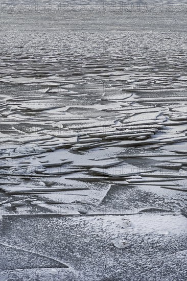 Ice floes, ice, frozen, ice surface, floes, winter, season, nature, water, texture, background, Lake Dümmer, Northern Germany, tourism