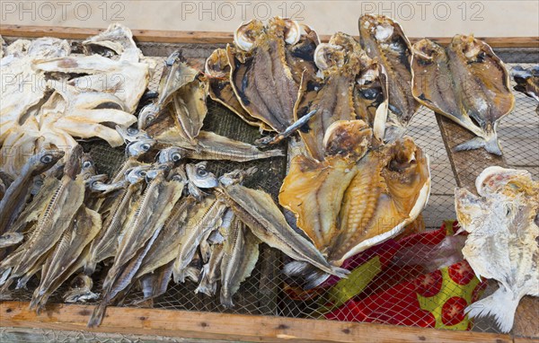 A net of dried fish of different species at the beach market, fish drying, Praia da Nazare beach, Nazaré, Oeste, Leiria district, Centro, Portugal, Europe