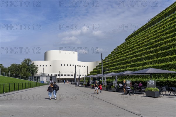 Green façade, consisting of over 30, 000 hornbeams, which form a hedge a good 8 kilometres long, on the roof and façade of the Kö-Bogen-2 building largest green façade in Europe, Düsseldorfer Schauspielhaus, Düsseldorf North Rhine-Westphalia, Germany, Europe