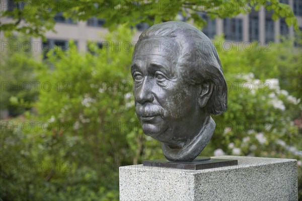 Bust of Albert Einstein, Street of Remembrance, Spreebogen, Moabit, Mitte, Berlin, Germany, Europe