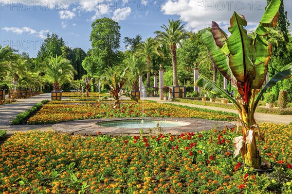 Palm garden in the spa gardens, the largest outdoor palm garden north of the Alps, spa town of Bad Pyrmont, Lower Saxony state spa, Emmer, Emmertal, Weserbergland, Lower Saxony, Germany, Europe