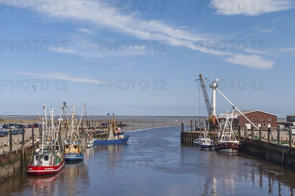 Cutter harbour Dornumersiel or Accumersiel, North Sea, East Frisia, Lower Saxony, Germany, Europe