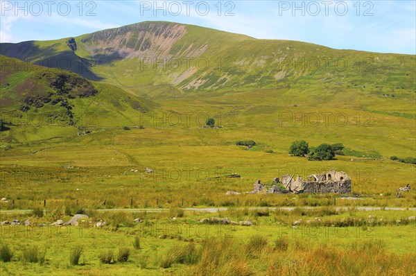 Upland landscape view to Moel Eilio mountain, Mount Snowdon, Gwynedd, Snowdonia, north Wales, UK