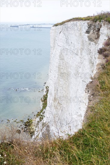 Steep, almost vertical cliff, chalk cliffs above the sea, an example of erosion in a coastal landscape, White cliffs of Dover, harbour facilities of Dover, Kent, England, English Channel, Great Britain