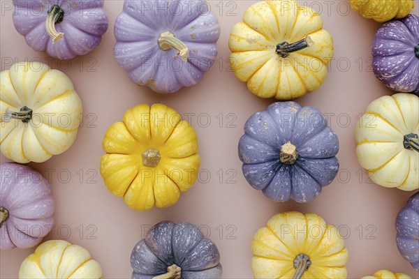 Op view of yellow and purple pumpkins on pastel background, Generative Ai, AI generated