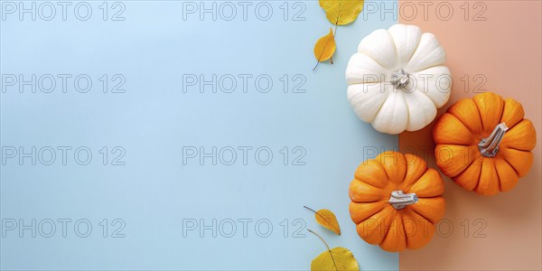 Banner with orange and white pumpkins on pastel blue background with copy space. Generative Ai, AI generated