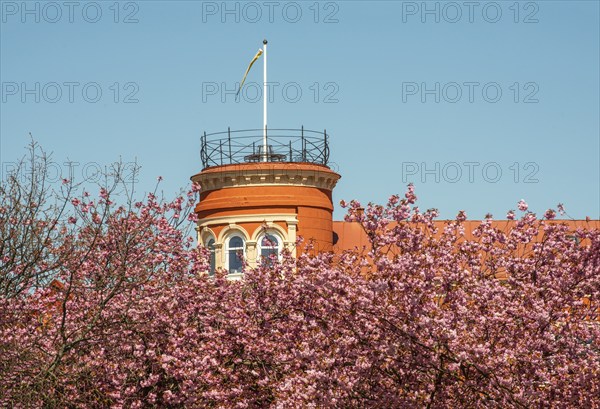 Tower on house surrounded by cherry trees and against blue sky in Ystad, Scania, Sweden, Scandinavia, Europe