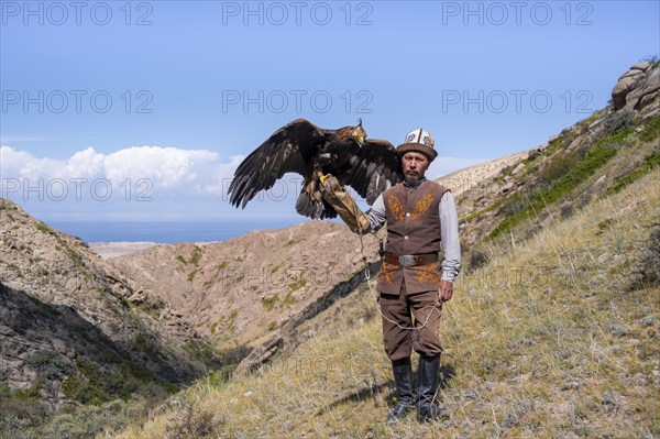 Traditional Kyrgyz eagle hunter with eagle in the mountains, near Kysyl-Suu, Kyrgyzstan, Asia