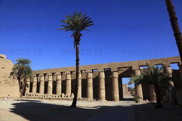 Luxor, Karnak Temple, part of the Amun Re Temple in Karnak, Africa, Upper Egypt, UNESCO World Heritage Site