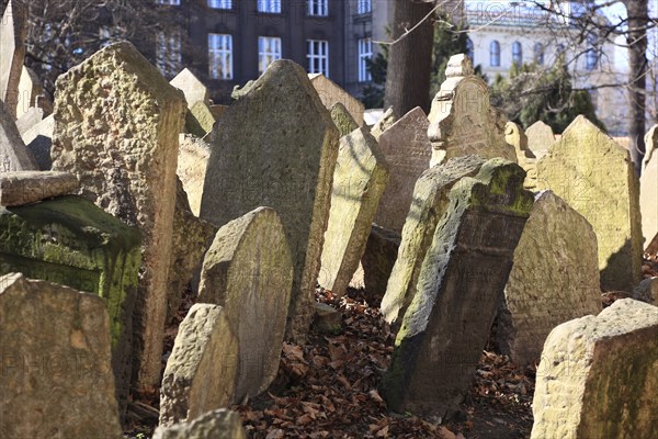 The Old Jewish Cemetery in the Josefov district is one of the most historically significant Jewish cemeteries in Europe. It contains over 12, 000 gravestones and presumably the remains of 100, 000 people, Prague, Czech Republic, Europe