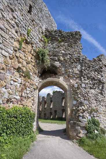 The main portal of the ruins of Staufen Castle on the Schlossberg, Staufen im Breisgau, wine-growing region, Markgräflerland, Black Forest, Baden-Württemberg, Germany, Europe