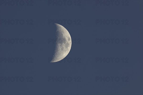 Waxing moon (Luna) in the early evening, Wilnsdorf, North Rhine-Westphalia, Germany, Europe