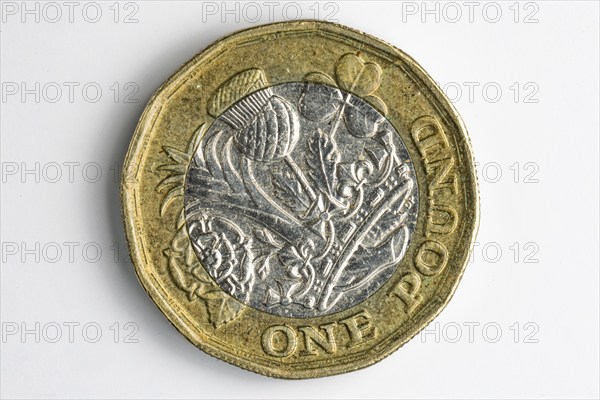 Close-up of the reverse of a British one pound coin, white background