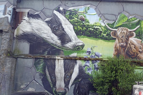 A mural showing two badgers and a Highland cow in a natural setting, Mural Trail, Glasgow, Scotland, United Kingdom, Europe