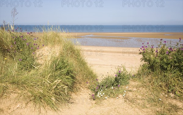 Wide sandy beach at low tide, Hunstanton, north Norfolk coast, England, United Kingdom, Europe