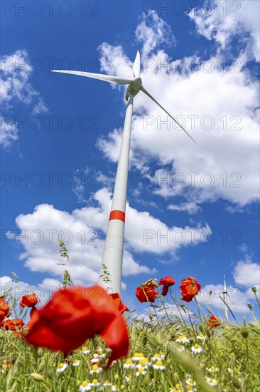 Wind farm near Brilon-Radlinghausen, Sauerland, North Rhine-Westphalia, Germany, Europe