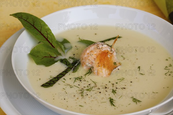 Southern German cuisine, sorrel soup with char, freshwater fish, soup arranged in a plate, herbs, fresh sorrel, blood sorrel, dill, toothpick, savoury, salty, traditional cuisine, food photography, studio, Germany, Europe