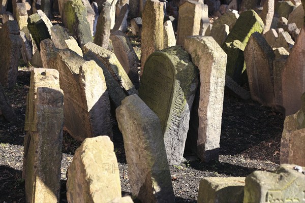 The Old Jewish Cemetery in the Josefov district is one of the most historically significant Jewish cemeteries in Europe. It contains over 12, 000 gravestones and presumably the remains of 100, 000 people, Prague, Czech Republic, Europe