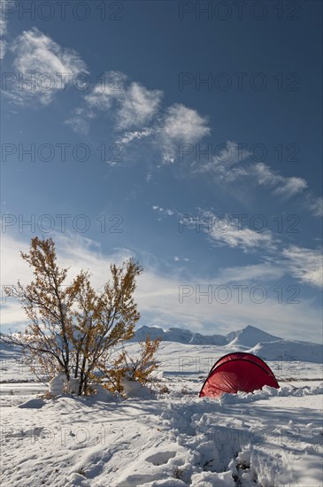 Tent in mountain landscape, Sarek National Park, Laponia World Heritage Site, Norrbotten, Lapland, Sweden, snowy landscape, winter, Scandinavia, Europe