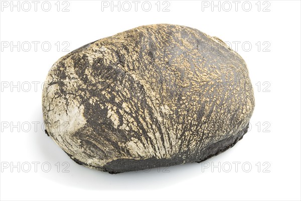 Fresh homemade black bread with flour isolated on white background. side view, close up