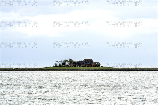 House on the Hallig Hooge, 24.05.2021