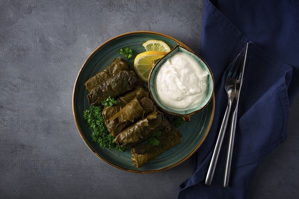 Dolma, cabbage rolls, grape leaves with filling, white sauce, lemon and herbs, rustic, selective focus, no people