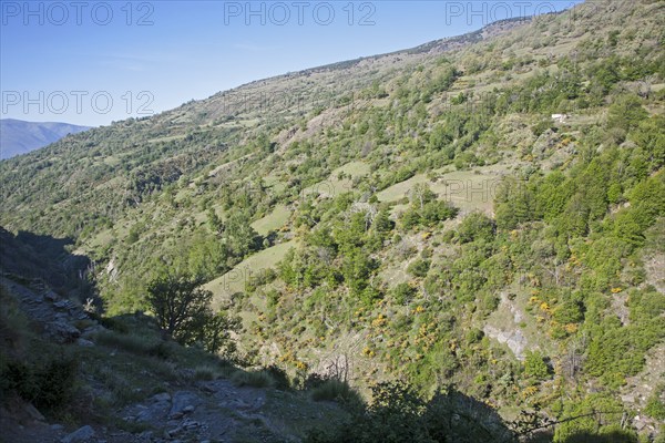 Landscape of the River Rio Poqueira gorge valley, High Alpujarras, Sierra Nevada, Granada Province, Spain, Europe