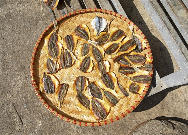 Fish drying on a bamboo tray, Cat Ba City, Cat Ba Island, Halong Bay, Vietnam, Asia