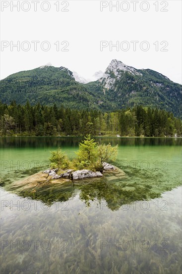 Hintersee, Ramsau, Berchtesgaden National Park, Berchtesgadener Land, Upper Bavaria, Bavaria, Germany, Europe