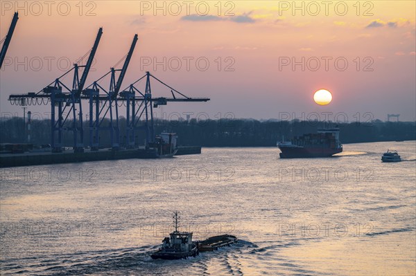 Evening shipping traffic on the Elbe, near Övelgönne, container freighter, feeder ship Ruth, harbour cranes Burchardkai, Hamburg, Germany, Europe