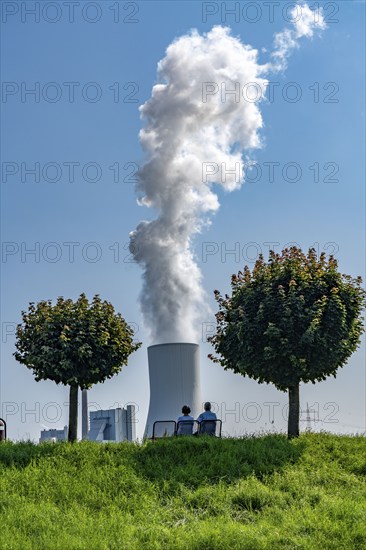 Rhine dyke near Orsory, ball trees, park bench, Walsum coal-fired power station, cooling tower, Rheinberg-Orsoy, North Rhine-Westphalia, Germany, Europe