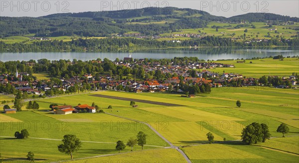 Panorama over Schwangau to Waltenhofen with Forggensee, Ostallgaeu, Allgaeu, Swabia, Bavaria, Germany, Europe