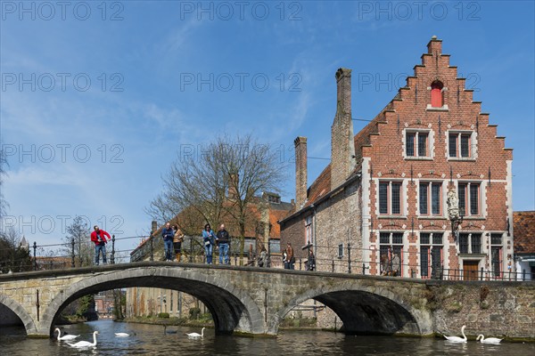 Bridge on the Minnewater, city trip, UNESCO, religious, religion, old town, West Flanders, Flanders, Middle Ages, trading metropolis, textile industry, tourism, travel, history, culture, idyllic, monastery, nuns, beguinage, Bruges, Belgium, Europe