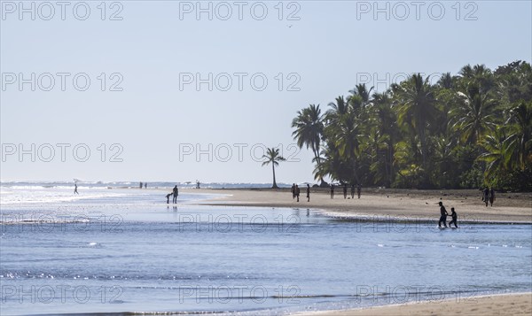 Marino Ballena National Park, South Pacific beach and sea, Puntarenas province, Osa, Costa Rica, Central America