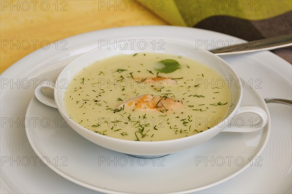 Southern German cuisine, sorrel soup with char, freshwater fish, soup served in soup bowl, herbs, fresh sorrel, blood sorrel, dill, toothpick, savoury, salty, traditional cuisine, food photography, studio, Germany, Europe