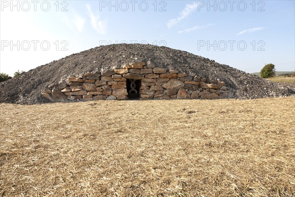 Modern-day neolithic style long Barrow burial chamber for storing cremation urns All Cannings, near Devizes, Wiltshire, UK