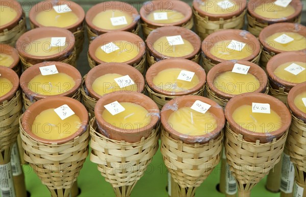 Yellow citronella candles on display in a garden centre, UK