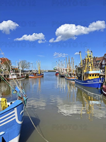 Crab cutter, harbour, Neuharlingersiel, East Frisia, Germany, Europe