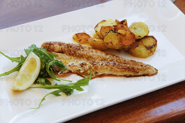 Mediterranean cuisine, fried pike-perch fillet, roast potatoes, fried potatoes, rocket salad, lemon wedge, plate, served, fish dish, food photography, studio, Germany, Europe