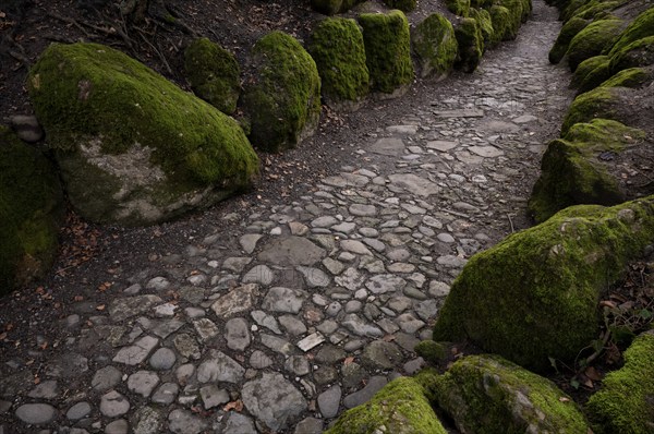 Hohle Gasse, artificial ravine between Immensee and Küssnacht am Rigi SZ, drama Wilhelm Tell by Friedrich Schiller, Canton Schwyz, Switzerland, Europe