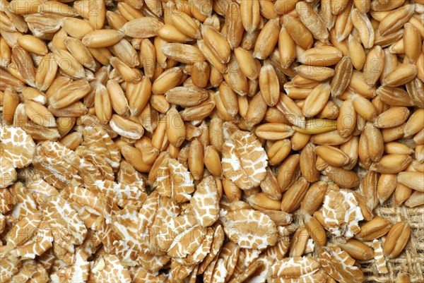 Dinkel wheatflakes and grains, grains, Wholegrain flakes