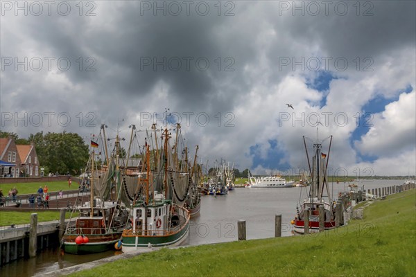 Crab cutter in the harbour of Greetsiel, the largest cutter fleet in East Frisia, Greetsiel, East Frisia, Lower Saxony, Germany, Europe