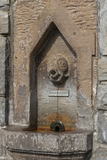 Meersburg on Lake Constance, fish spits water jet, inscription drinking water, fountain, close-up, light-coloured red sandstone, Baden-Württemberg, Germany, Europe