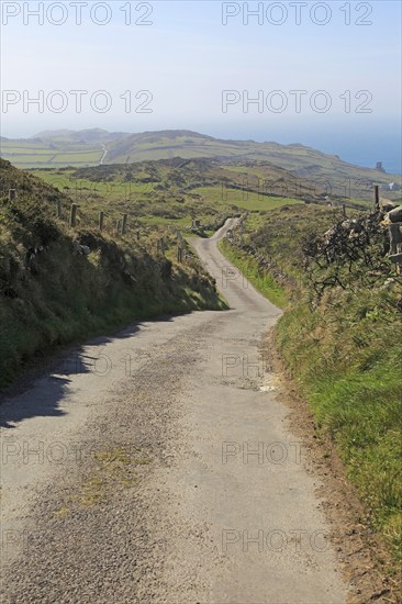 Long country lane road on Cape Clear Island, County Cork, Ireland, Irish Republic, Europe