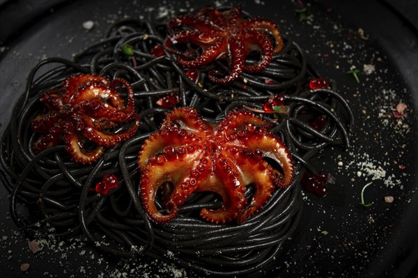 Black spaghetti with baby octopuses, homemade, no people